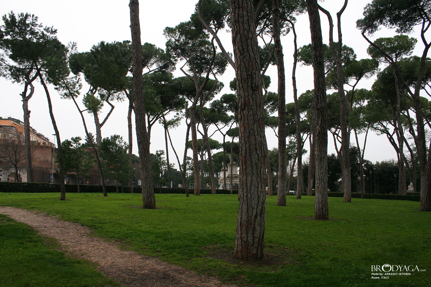 Rome